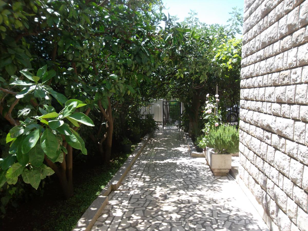 Guest House 4M Petrovac ภายนอก รูปภาพ